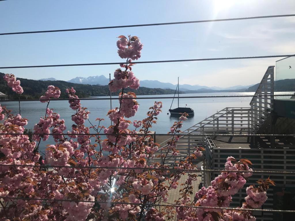 Apartment Lake'S Pörtschach am Wörthersee Dış mekan fotoğraf